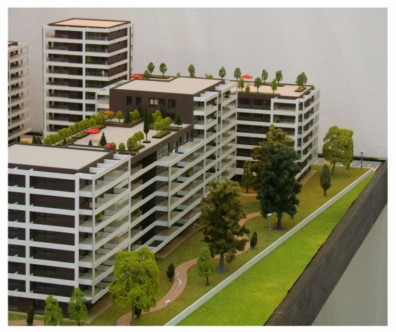 timon-macheta-imobiliare